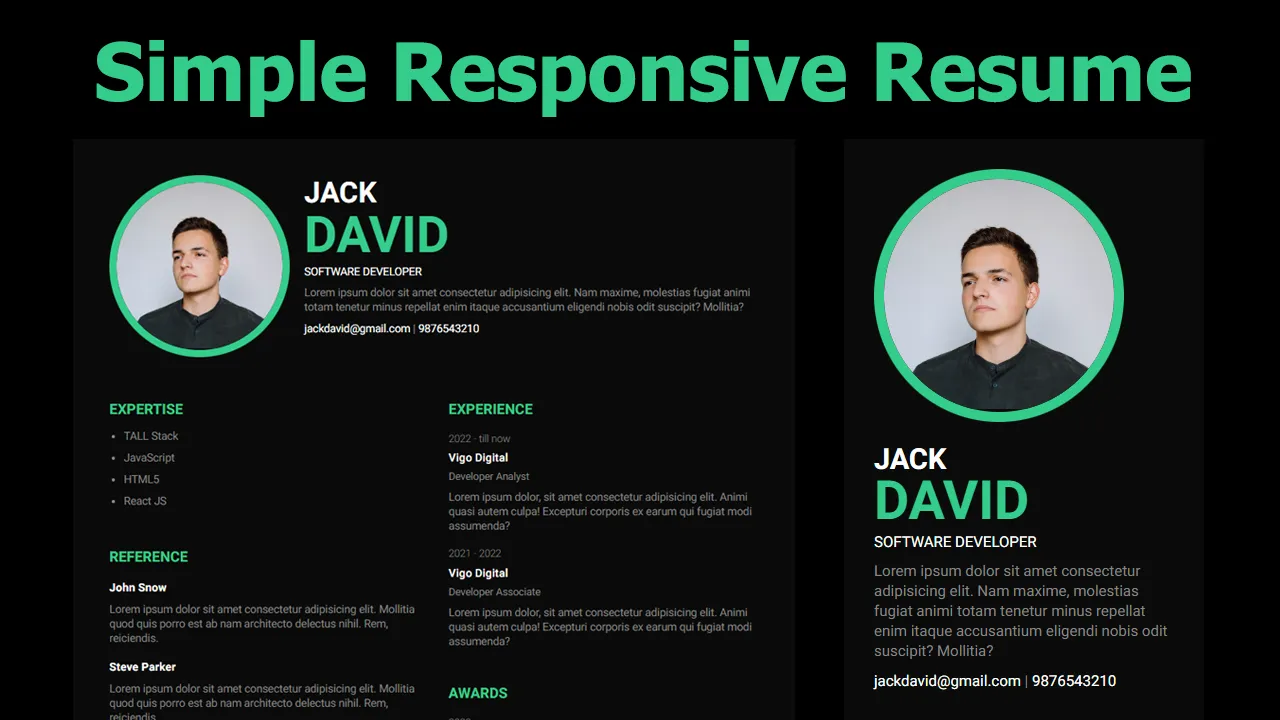 David Responsive Resume
